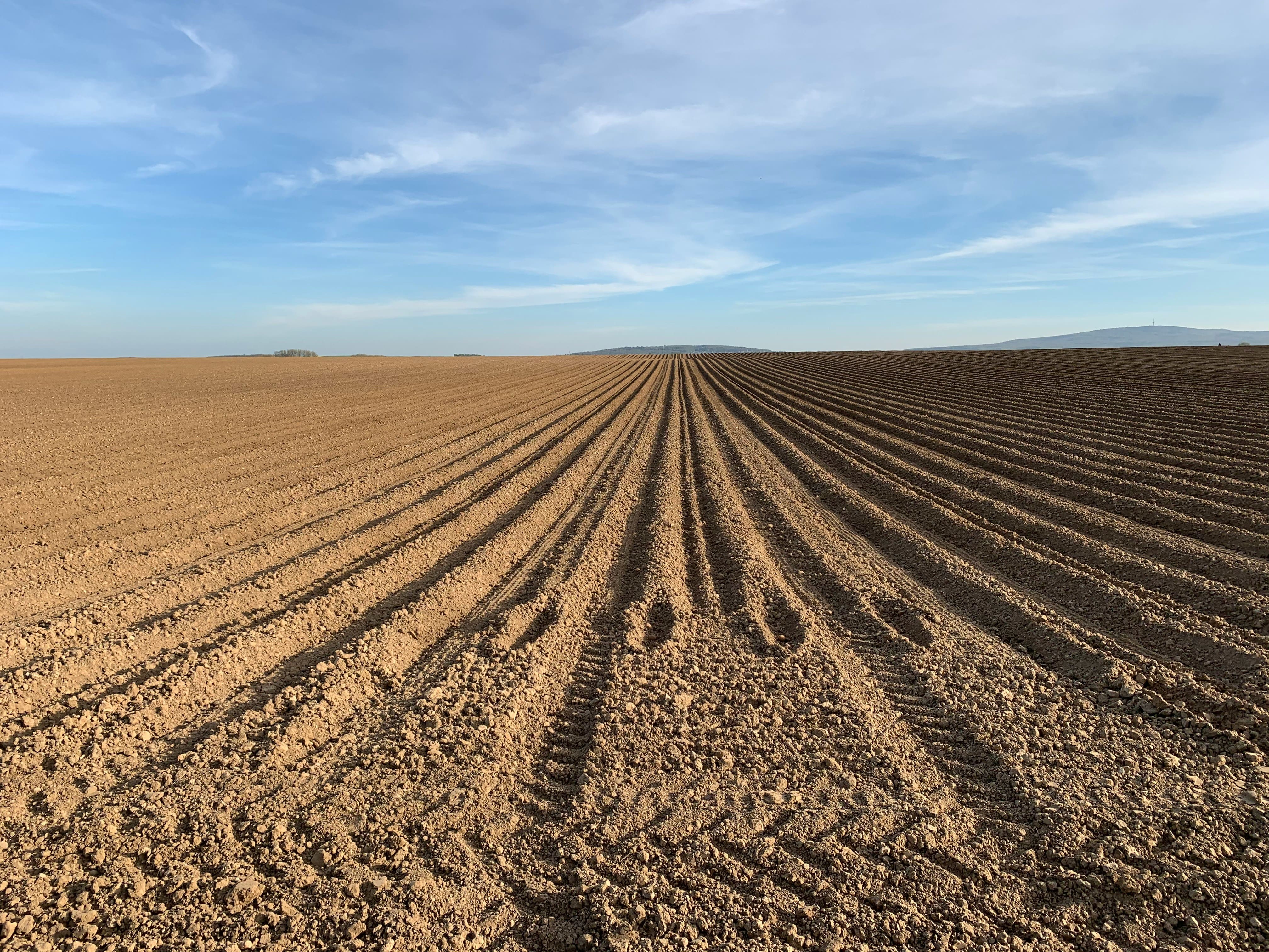 campo